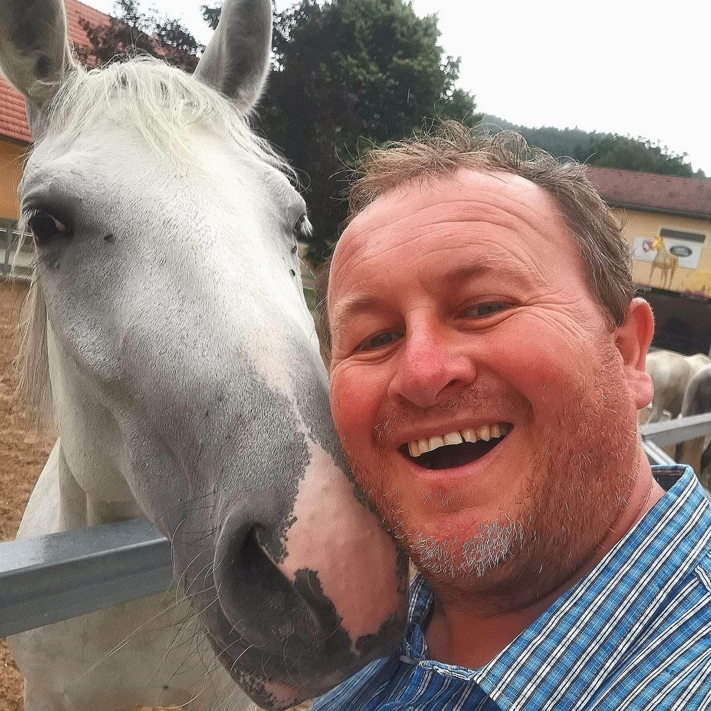 Piber, Austria. Me and a beautiful Lipizzaner stallion